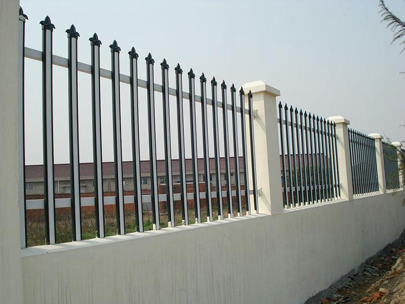 �����o��