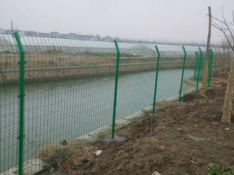 �����o(h��)�ھW(w��ng)