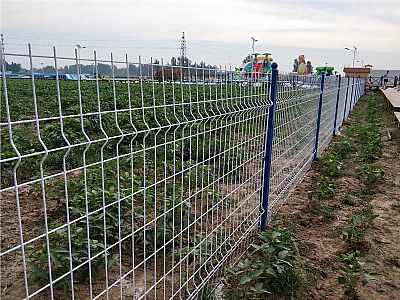 河北安平水上游樂(lè)場(chǎng)圍欄網(wǎng)安裝現(xiàn)場(chǎng)